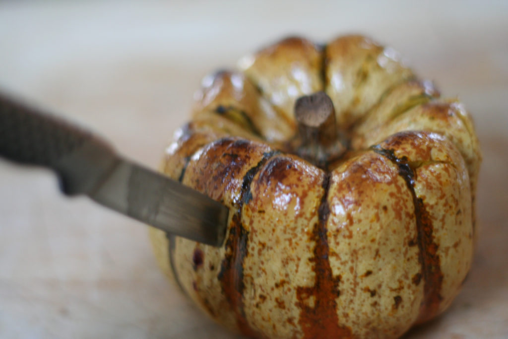 Testing Baked Squash