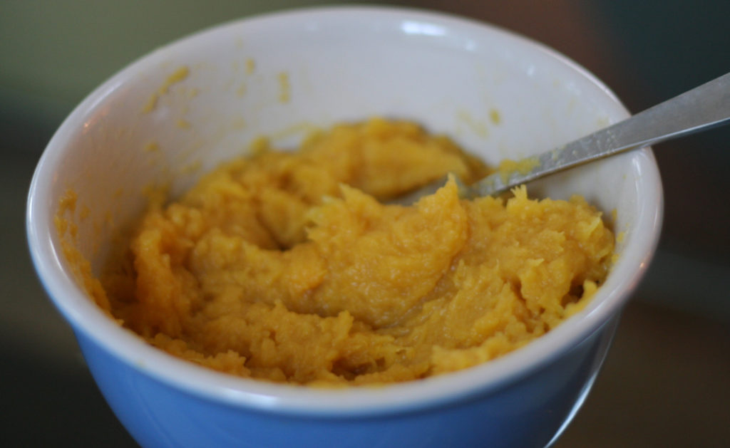 Pureed Squash