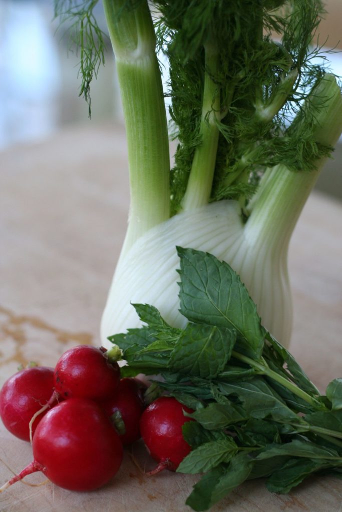 Fennel, Radishes, & MInt