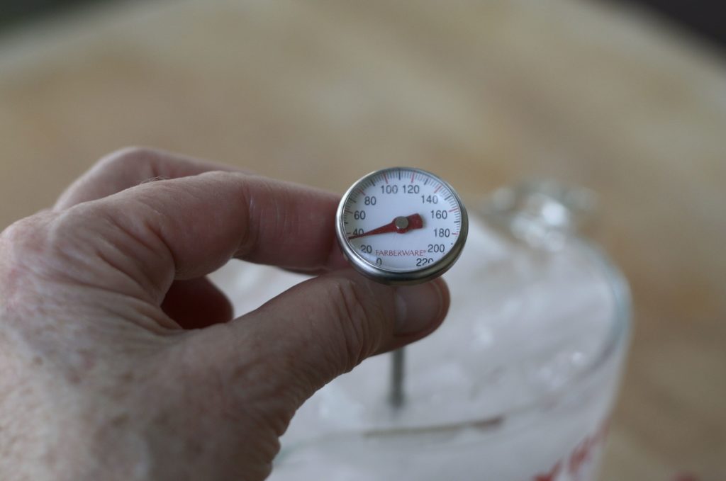 Submerging the Thermometer in Ice Water