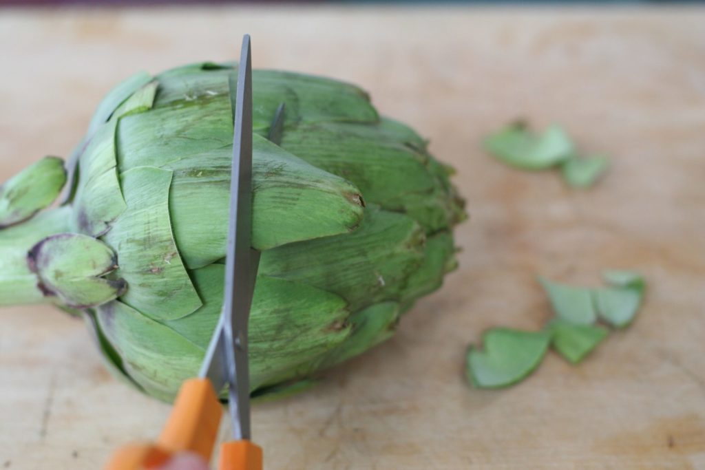 Trimming Leaf Tips off Artichokes