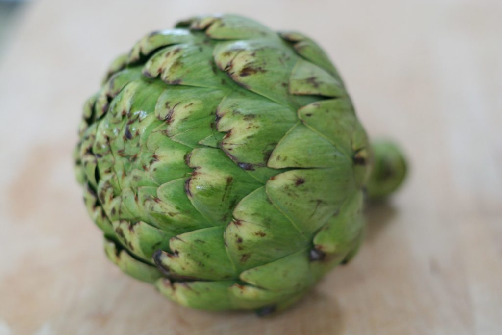 Globe Artichoke